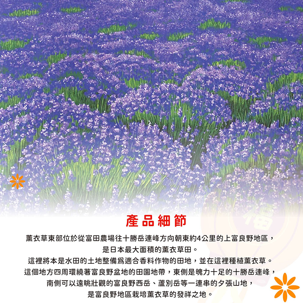 日本製【コスモ】長門簾《富良野薰衣草》, , large