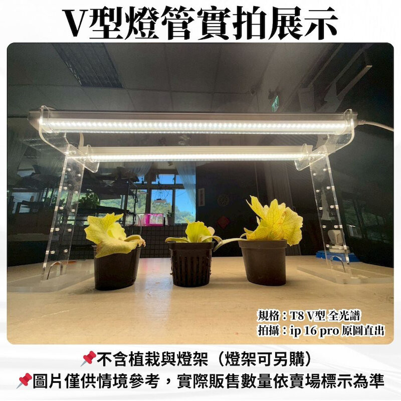 【君沛】V型雙排 3呎T8一體式植物燈 40W 全光譜 抑制徒長 觀葉 鹿角蕨 植物櫃層架專用 免燈座, , large