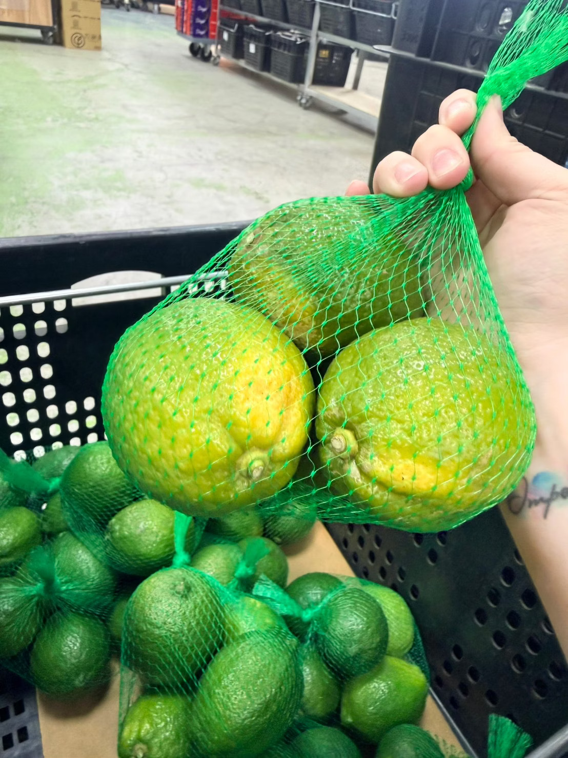 lemon, , large