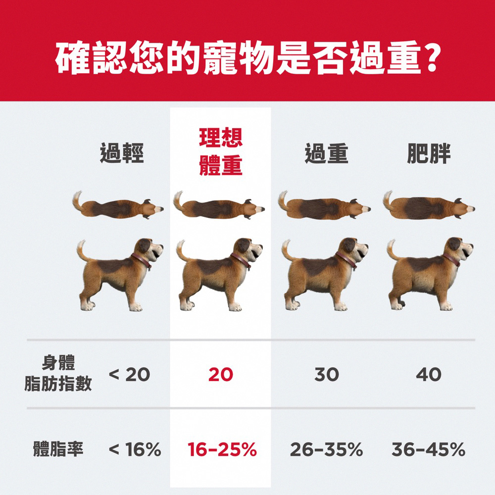 【Hills 希爾思】成犬完美體重 雞肉特調食譜 5.44KG (607826), , large
