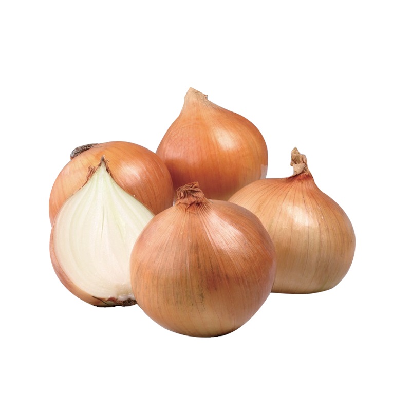 Imported Onion, , large