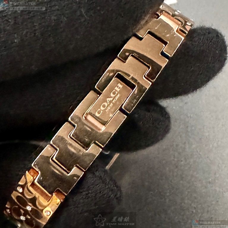 [TIMEMASTER] COACH watch, 18mm, 28mm, CH00200, , large