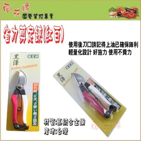 Kurosawa Red & White Handle Pruning Shears (Garden Scissors) &ndash; 20cm, , large