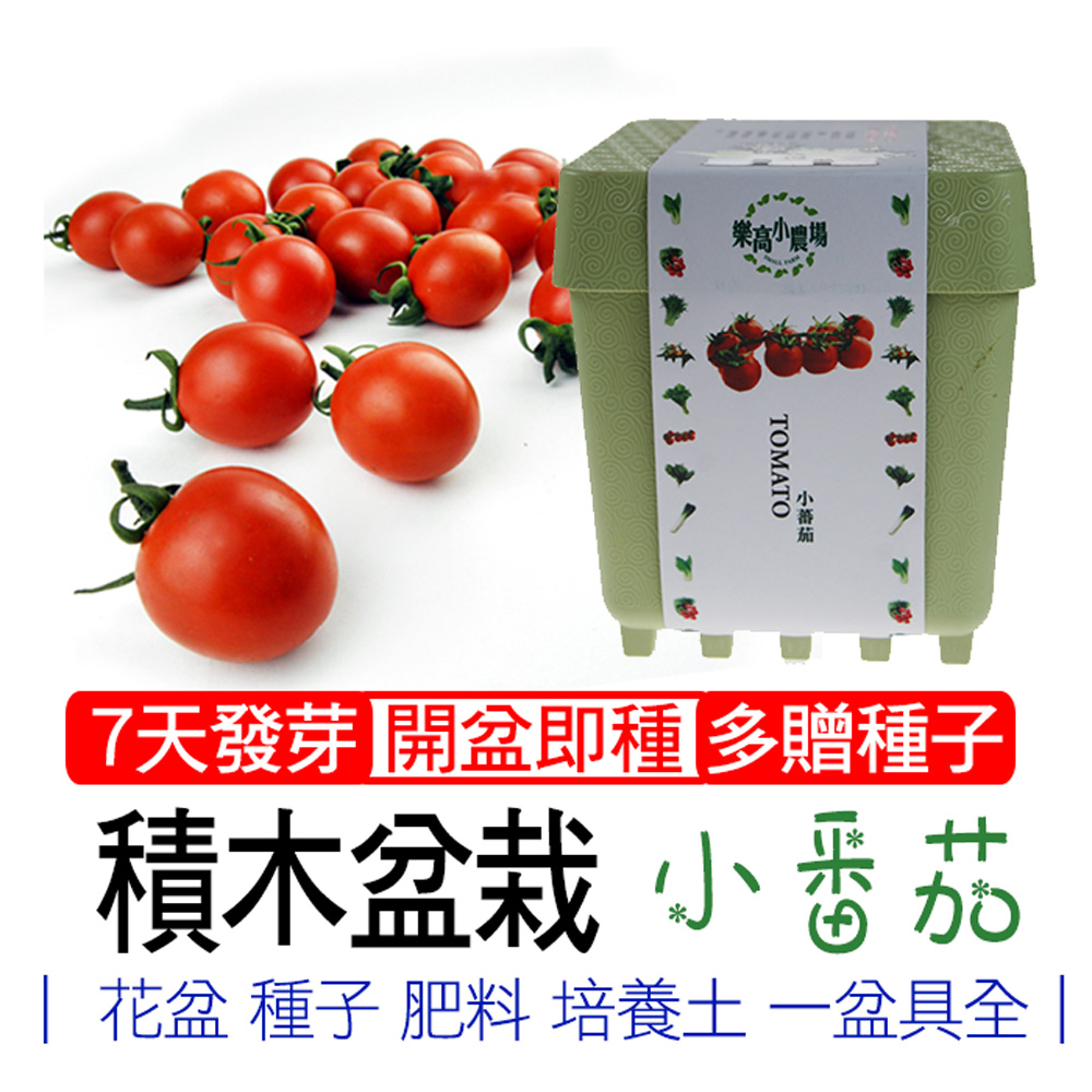 tomato, , large