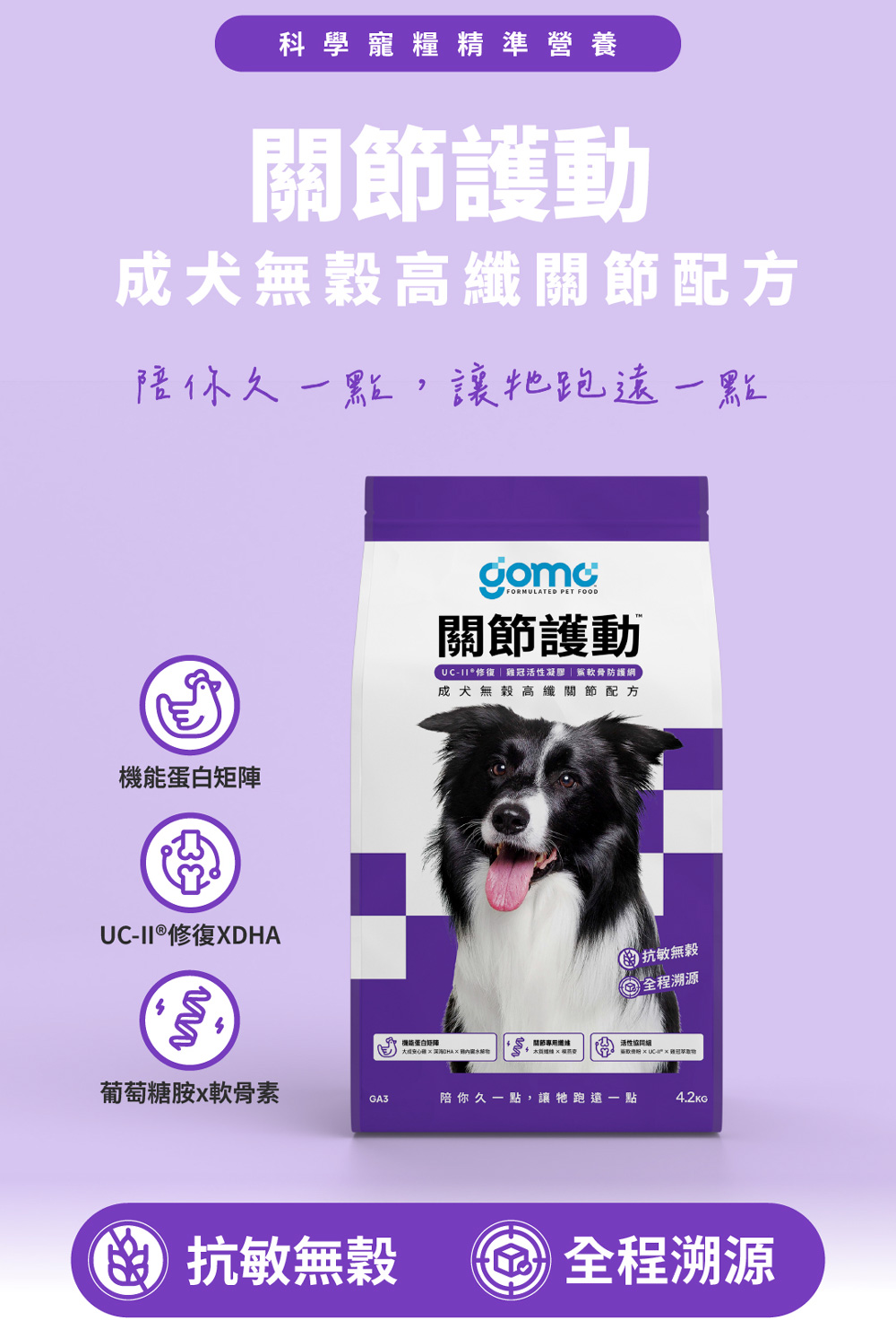【GOMO PET FOOD】關節護動/成犬無穀高纖關節配方4.2kg 狗飼料 狗糧, , large