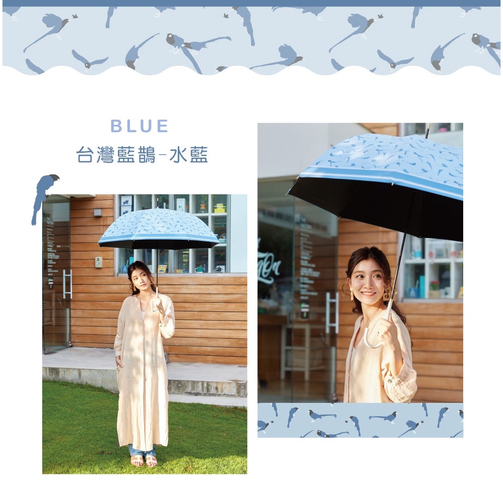 【周周生活】雨傘 現貨 自動傘 遮陽傘 陽傘 台灣藍鵲 直傘 晴雨傘 抗uv 傘 輕量雨傘 日系雨傘 快速出貨, , large
