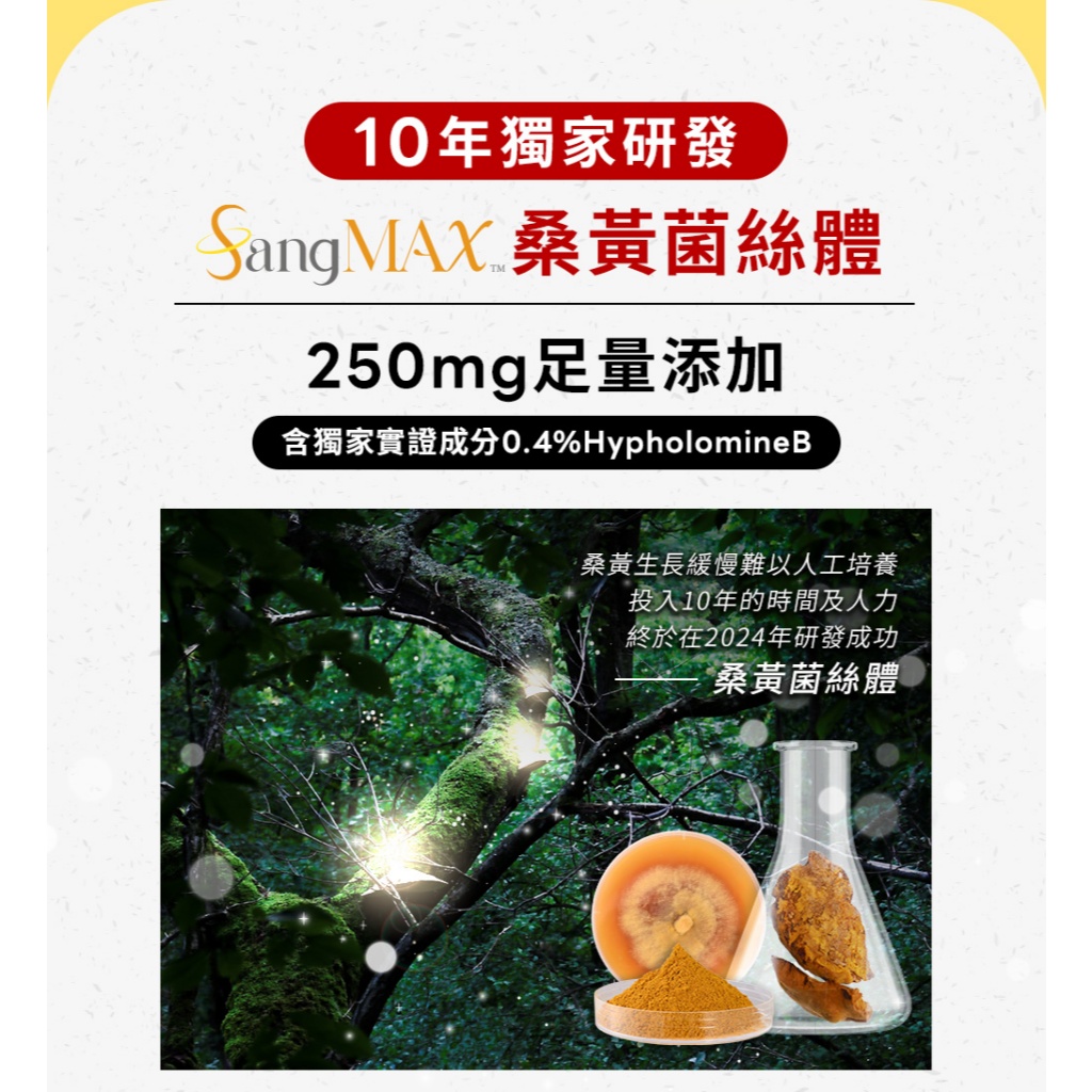 【葡萄王】 超極薑黃MAX複方膠囊 60粒 (薑黃 桑黃 胡椒鹼), , large
