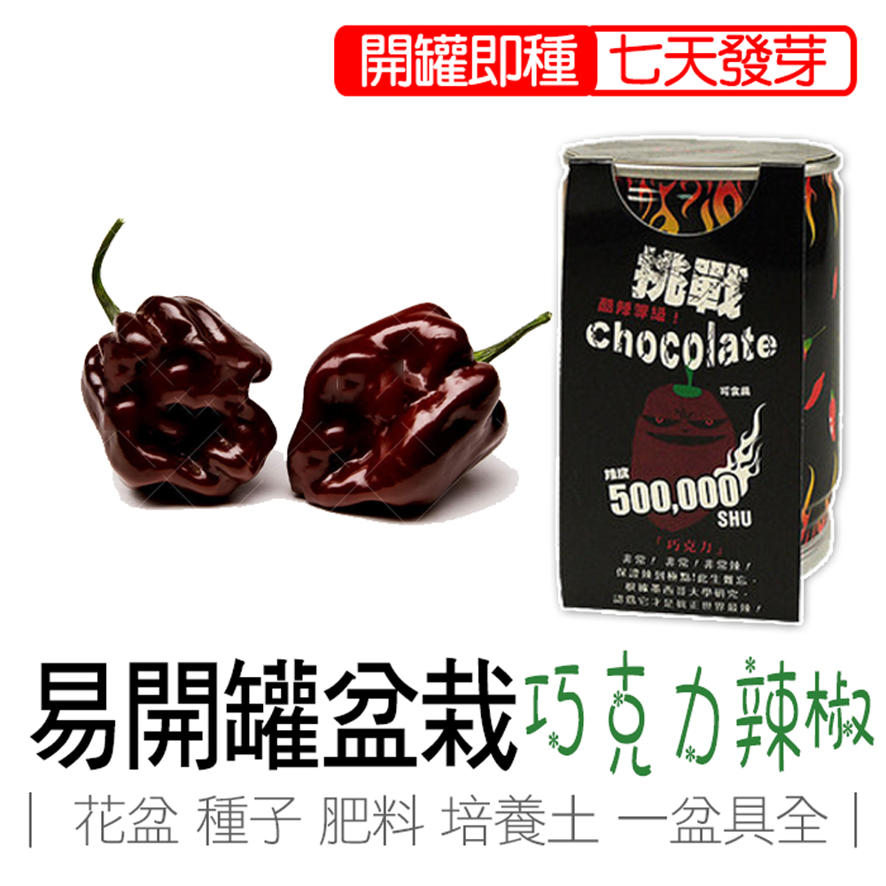  Chocolate Chili, , large