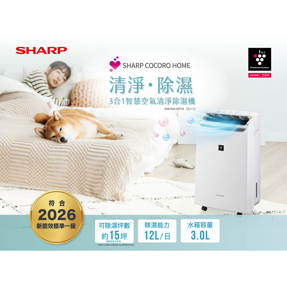 SHARP 夏普 自動除菌離子 3合1智慧空氣清淨除濕機 DW-WA12FT-S, , large