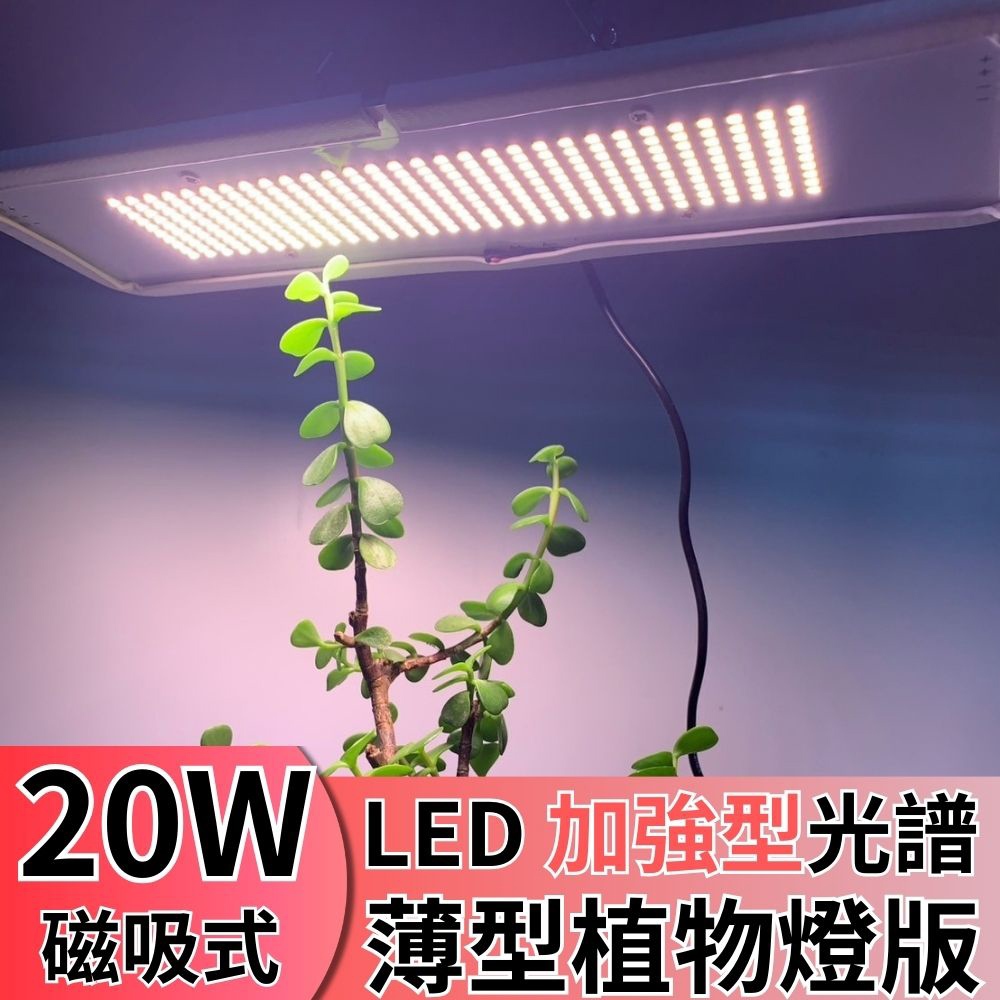 【君沛】薄型磁吸植物燈板 20W 加強型光譜 LED植物燈 層架補光 塊根 鹿角蕨 多肉 植物生長燈 層板燈, , large