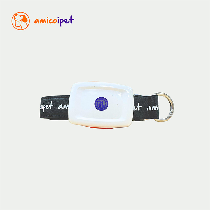 amicoipet, , large