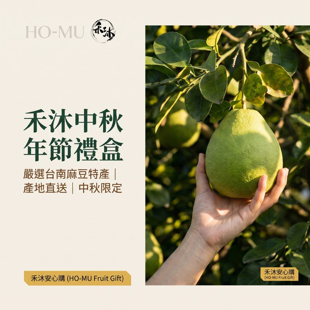 禾沐20年普通麻豆文旦 (老欉文旦柚子 | 一箱10斤 | 7-10顆) | Howu好物商城, , large