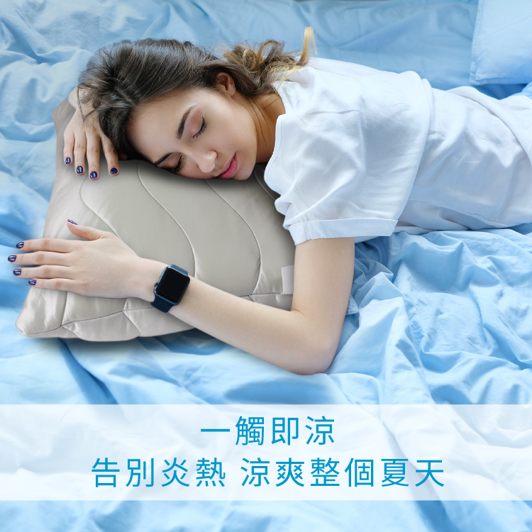蠶絲矽膠枕, , large