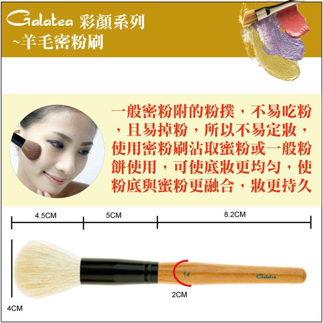 【Galatea葛拉蒂】彩顏系列-羊毛蜜粉刷+粉底刷, , large