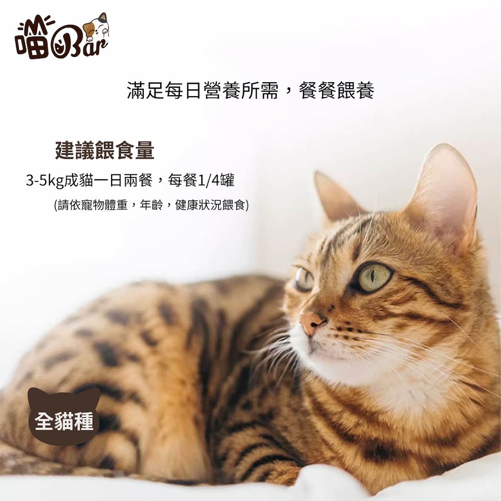 【喵Bar】營養貓餐罐 貓罐頭 紅肉罐170g x 48入, , large