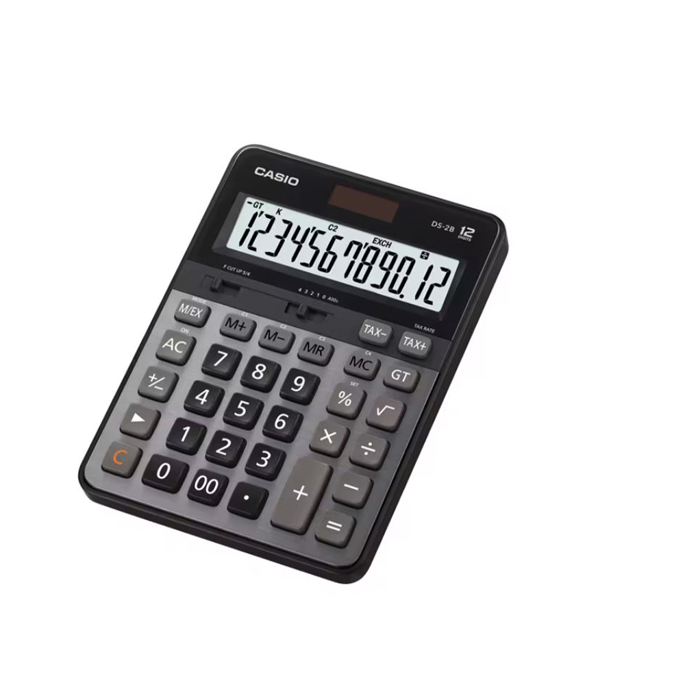   DS-2, , large