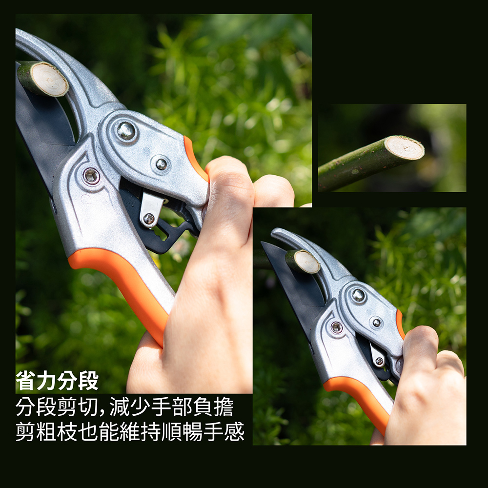 Taiwan Good Pruners - High Carbon Steel Labor-Saving Segmented Pruning Shears (Top Choice for Gardening Tools), , large