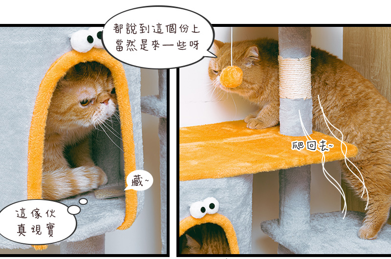 【Y HOUSE】四景一房雲端喵屋貓宅/貓跳台/貓爬架/貓窩/貓玩具/法蘭絨/大型貓窩, , large